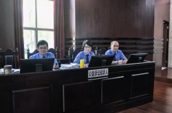 佛山市首例環境汙染民事公益訴訟開審：要求企業承擔737萬餘元民事責任