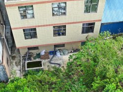 東莞市樟木頭鎮無人機開展執法檢查並查處一家廢氣偷排企業