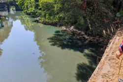 萬江：河湧現“綠水”，偷排企業被查處！